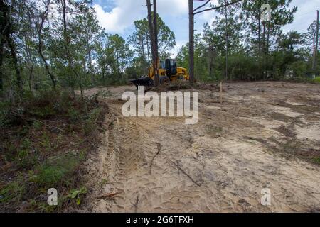 Native Lebensraum Wald für neue Wohnungsbau in North Central Florida zerstört Stockfoto