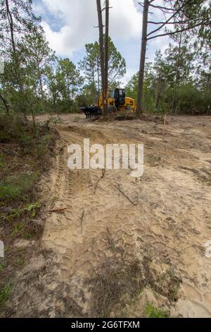 Native Lebensraum Wald für neue Wohnungsbau in North Central Florida zerstört Stockfoto