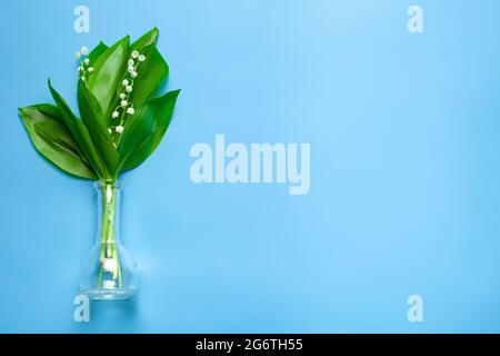 Bouquet von Flieder des Tales in der transparenten Glasvase links. Draufsicht mit blauem isoliertem Hintergrund Stockfoto