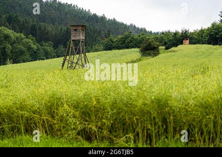 Hohes Standbild in der Landschaft von Lautertal, Deutschland Stockfoto