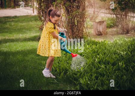 Charmantes sechsjähriges Mädchen in einem gelben Kleid, das Lilien des Tals aus einer blauen Gießkanne wässert, ein kleiner Gärtner hilft einem Elternteil mit Blumen Stockfoto