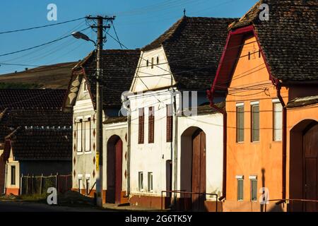Blick auf das malerische Dorf Viscri in Rumänien. Bemalte traditionelle alte Häuser im mittelalterlichen sächsischen Dorf Viscri, Rumänien, 2021 Stockfoto