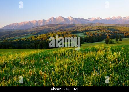 Blick auf die hohe Tatra von Lapszanka im Sommer. Berggipfel vom Morgenlicht beleuchtet. Stockfoto