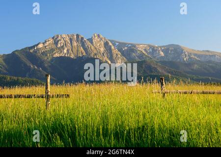 Zakopane. Blick auf den Tatra Natinalpark von Bochladzki Wierch im Sommer. In der Ferne der Gipfel von Giewont und Czerwone Wierchy. Stockfoto