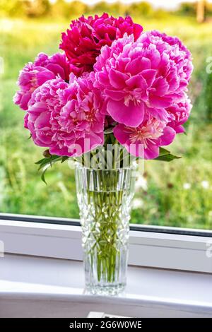 Ein schöner Blumenstrauß Pfingstrosen in einer Vase stehen auf der Fensterbank Stockfoto