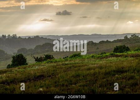 Abbots Well, Frogham, Fordingbridge, New Forest, Hampshire, Großbritannien, 8. Juli 2021, Wetter: Starker Regenschauer am Abend. Die Sonnenstrahlen erhellen den Himmel in der Ferne, während der Regen auf die Nationalparklandschaft niederschlägt. Kredit: Paul Biggins/Alamy Live Nachrichten Stockfoto