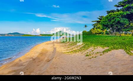 Tolles Strand- und Landschaftspanorama auf der Insel Koh Samui in Surat Thani, Thailand. Stockfoto