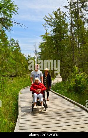 Großmutter, Tochter und ihr Sohn genießen einen Spaziergang in einem Naturgebiet mit Promenade, Enkel schieben Rollstuhl für die Mobilität, Baileys Harbor, WI, USA Stockfoto