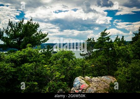 Das Vogelnest im Admiral Cove Park mit Blick auf den hrm Stockfoto