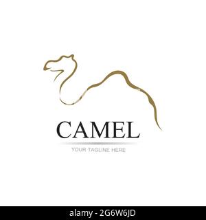 Kamel Symbol Vektor illustration Design Stock Vektor