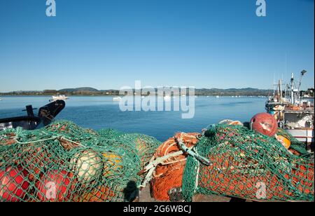 Angelnest und bunte Bojen gebündelt auf dem Kai Tauranga Neuseeland. Stockfoto