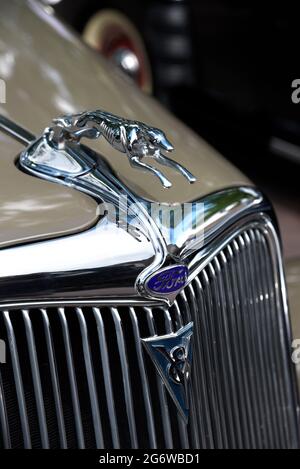 Ein Windhundhaubenschmuck auf der Vorderseite eines Ford Phaeton V8 aus dem Jahr 1934, der auf einer Oldtimer-Show am 4. Juli in Santa Fe, New Mexico, ausgestellt wurde. Stockfoto