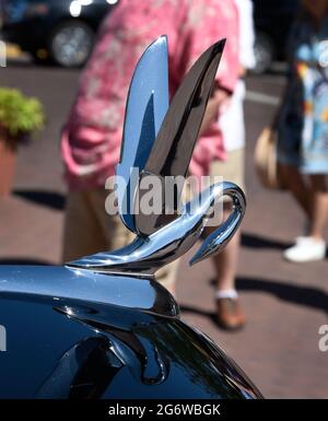 Ein dekoratives Schwanenhaubenornament auf der Motorhaube eines alten Packard, das auf einer Automobilausstellung vom 4. Juli in Santa Fe, New Mexico, ausgestellt wurde. Stockfoto