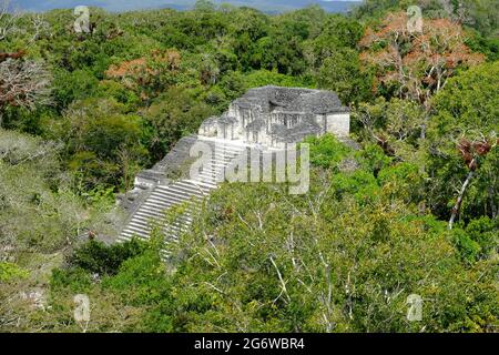 Guatemala-Tikal-Nationalpark - Luftaufnahme von der Tempel-IV-Pyramide Stockfoto