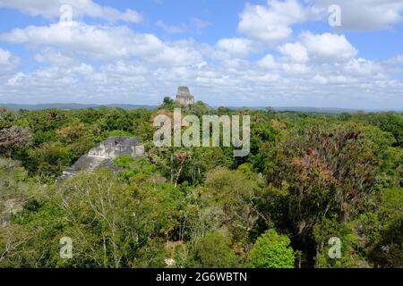 Guatemala-Tikal-Nationalpark - Luftaufnahme von der Tempel-IV-Pyramide Stockfoto