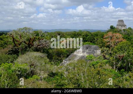 Guatemala-Tikal-Nationalpark - Luftaufnahme von der Tempel-IV-Pyramide Stockfoto