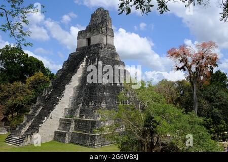 Guatemala-Tikal-Nationalpark - die große Jaguar-Tempel-Pyramide - Templo del Gran Jaguar Stockfoto