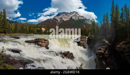 Das tosende Athabasca fällt zu Beginn des Sommers Stockfoto