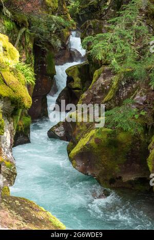 Lawinenbach Canyon Stockfoto