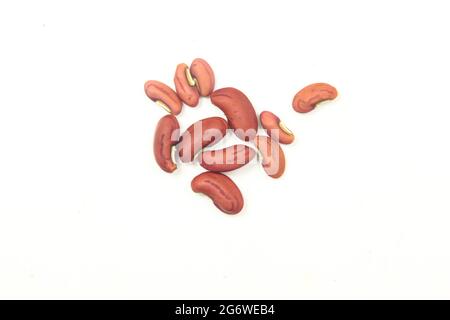 Yardlong Bohne Samen mit Bohnensamen isoliert auf weißer Oberfläche, Draufsicht Stockfoto