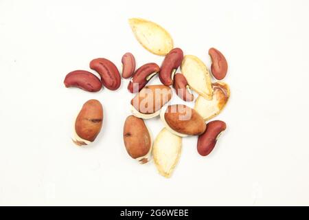 Yardlong Bohne Samen mit Bohnensamen isoliert auf weißer Oberfläche, Draufsicht Stockfoto