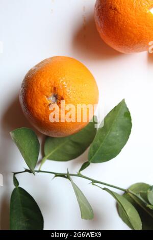 Italienische maltesische Orangenfrucht auf isolierter weißer Oberfläche, Draufsicht Stockfoto