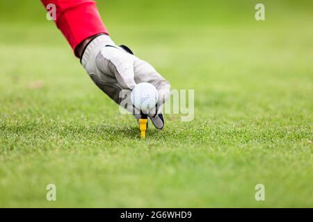 Golfer's Hand Golfball auf dem T-Stück im Golfplatz Stockfoto