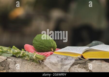 jerusalem-israel, 04-10-2020. Die vier Arten (Etrog, Lulav, Myrte, Weide) sind eine jüdische Mizwa auf Sukkot. Legen Sie sich neben ein Gebetsbuch, auf einem Stein fe Stockfoto