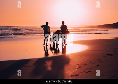 Ein Paar läuft mit seinem Hund am Strand entlang Stockfoto