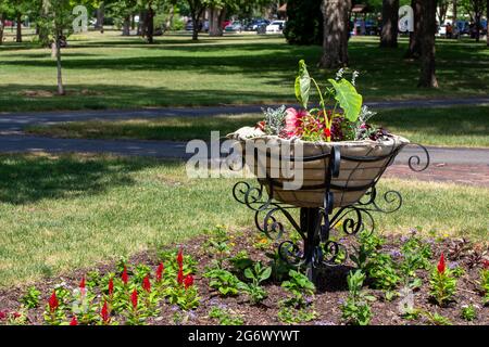 Dieses Bild zeigt eine Nahaufnahme eines großen Blumentopf aus Metall, der an einem sonnigen Sommertag in einem öffentlichen Park auf Rasen liegt. Stockfoto