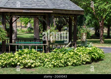 Dieses Bild zeigt eine Nahaufnahme des großen hölzernen Pavillons, der mit wunderschönen Hostas und hängenden Pflanzgefäßen an einem sonnigen Sommertag in einem öffentlichen Park angelegt ist. Stockfoto