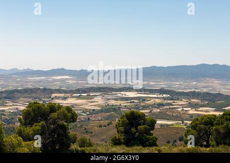 Felder und Kulturen mit zahlreichen Gewächshäusern in der spanischen Region Murcia, berühmt für ihren Paprika. Stockfoto