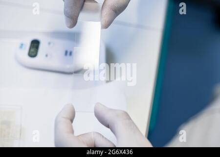 Laborantin, die Kontrolle im Labor Mikroskop-Objektträger vorbereiten Stockfoto