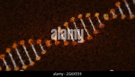 Bild einer verzerrten digitalen 3d-DNA mit oranger und weißer Doppelhelix Stockfoto