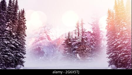 Bild von Landschaft mit Winterlandschaft und Tannenwald mit Schnee bedeckt Stockfoto