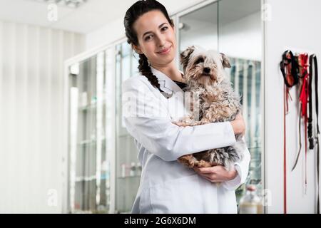 Portrait von Happy Arzt der kranken Welpen im Krankenhaus Stockfoto