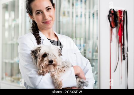 Portrait von Happy Arzt der kranken Welpen im Krankenhaus Stockfoto