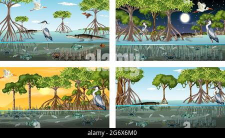Verschiedene Mangrovenwaldlandschaftsszenen mit Tierdarstellung Stock Vektor