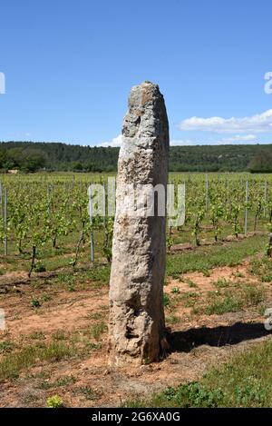 Stall oder Menhir zwischen Weinbergen in der Cabasse Var Provence Frankreich Stockfoto