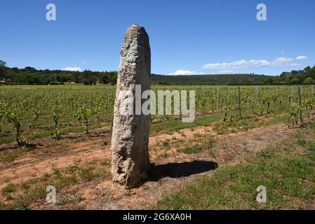 Stall oder Menhir zwischen Weinbergen in der Cabasse Var Provence Frankreich Stockfoto