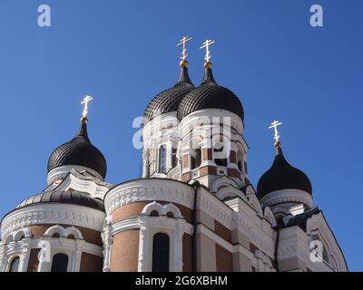 Alexander-Nevsky-Kathedrale, Tallinn. Nahaufnahme des schwarzen Kuppeldachs vor dem strahlend blauen Himmel Stockfoto