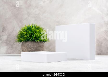 Minimaler Produktausstellstand mit grüner Pflanze in einem Steintopf. Kosmetikständer. Speicherplatz kopieren Stockfoto