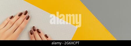 Schöne gepflegte Damenhänden mit braunem Nagellack auf kreativem, farbenfrohem Hintergrund. Maniküre, Pediküre Schönheitssalon Konzept. Leere Stelle für Text Stockfoto