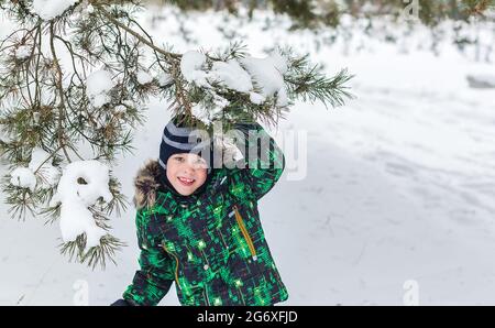 Der sechsjährige Junge ist im Winter im Wald. Das Kind unter dem Kiefernzweig. Auf Nadeln liegt Schnee. Stockfoto