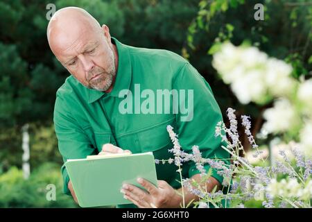 Pflanzenforscher im Garten Stockfoto