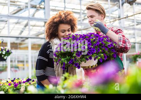 Eine schöne Frau, die auf dem Blumenmarkt auf Rat eines erfahrenen Floristen an den Kauf einer duftenden purpurnen Petunien in Topfform denkt Stockfoto