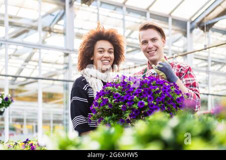 Eine schöne Frau, die auf dem Blumenmarkt auf Rat eines erfahrenen Floristen an den Kauf einer duftenden purpurnen Petunien in Topfform denkt Stockfoto