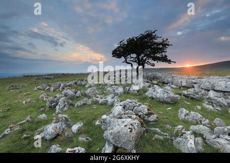 Sonnenuntergang auf Kalksteinpflaster bekannt als Twistleton Narben, in der Nähe von Ingleton in den Yorkshire Dales, North Yorkshire, Großbritannien Stockfoto