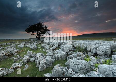 Sonnenuntergang auf Kalksteinpflaster bekannt als Twistleton Narben, in der Nähe von Ingleton in den Yorkshire Dales, North Yorkshire, Großbritannien Stockfoto