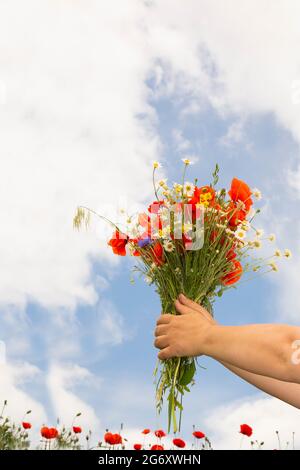 Blumenstrauß: Mohnblumen, Gänseblümchen in der Hand gegen den blauen Himmel. Blumen in der Hand einer Frau Stockfoto